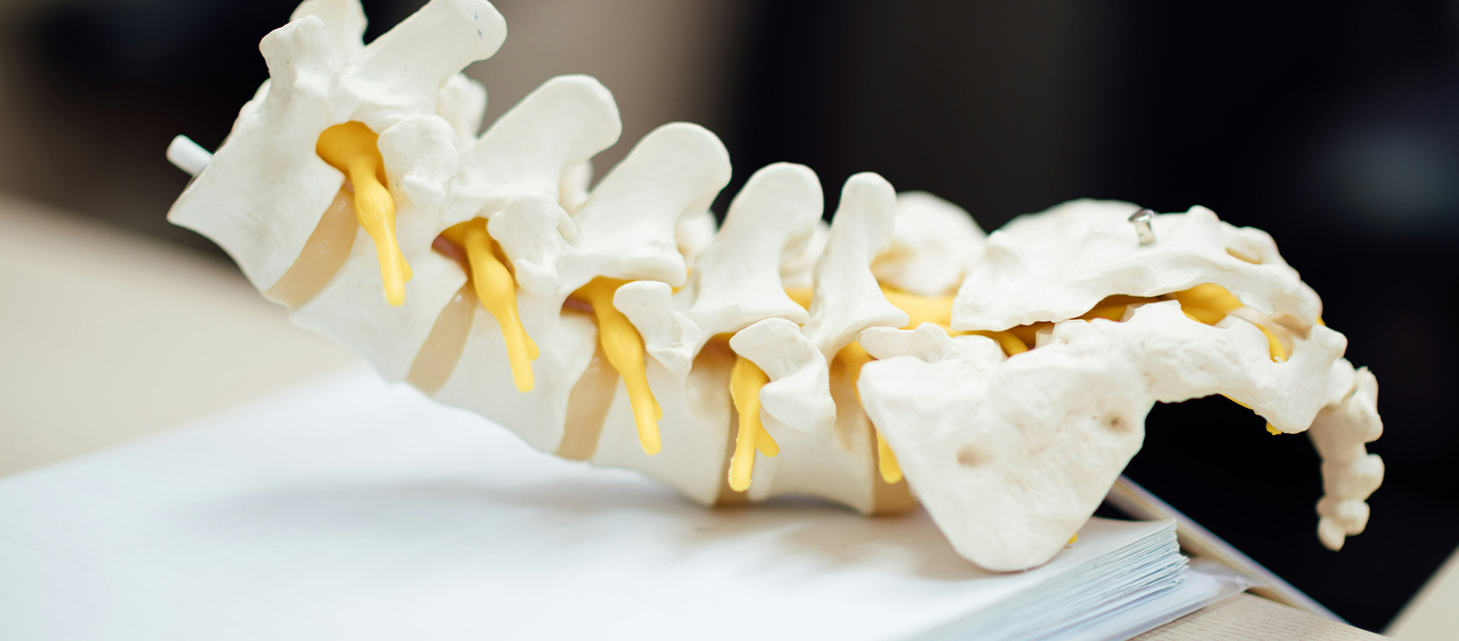 low-back-pelvis-physiotherapy-blue-mountains